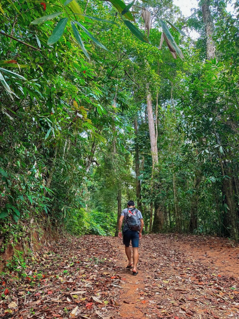 Rugged trail section with uneven stones and thick vegetation, showcasing the adventurous hike.