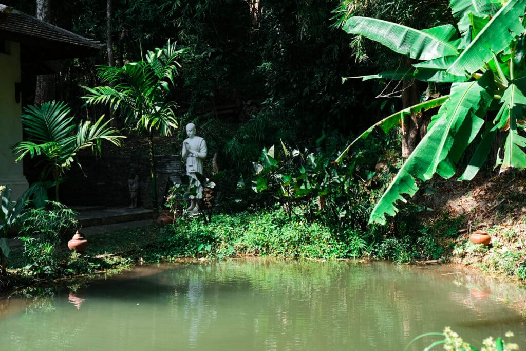 Shaded pond surrounded by tropical vegetation on the grounds of Wat Pha Lat.