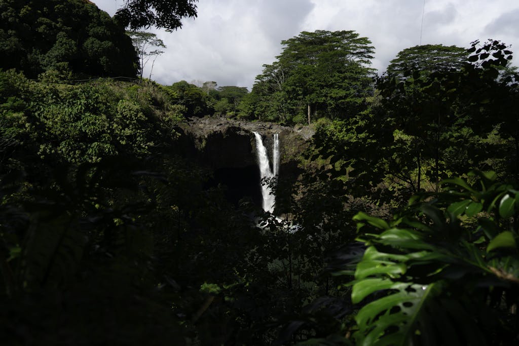 A serene waterfall cascading amidst lush tropical greenery in Hawaii's natural landscape.