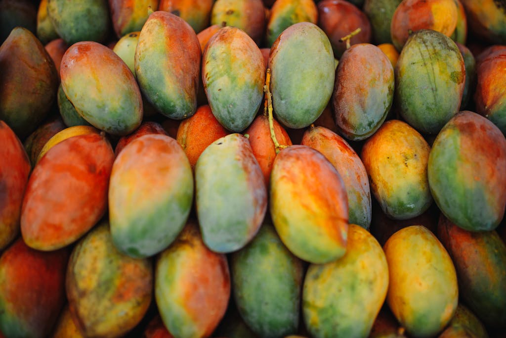 A vibrant collection of ripe mangoes showcasing their colorful natural hues.