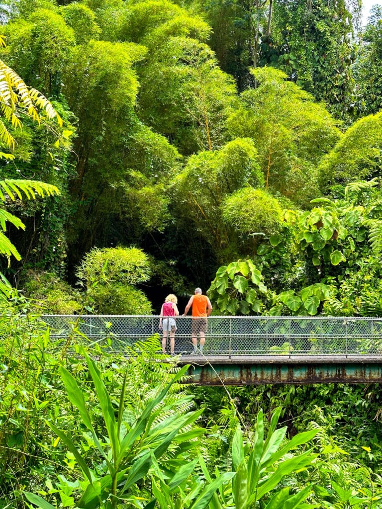 Visitors walking along a paved rainforest pathway at Akaka Falls, surrounded by tall bamboo and lush green foliage.