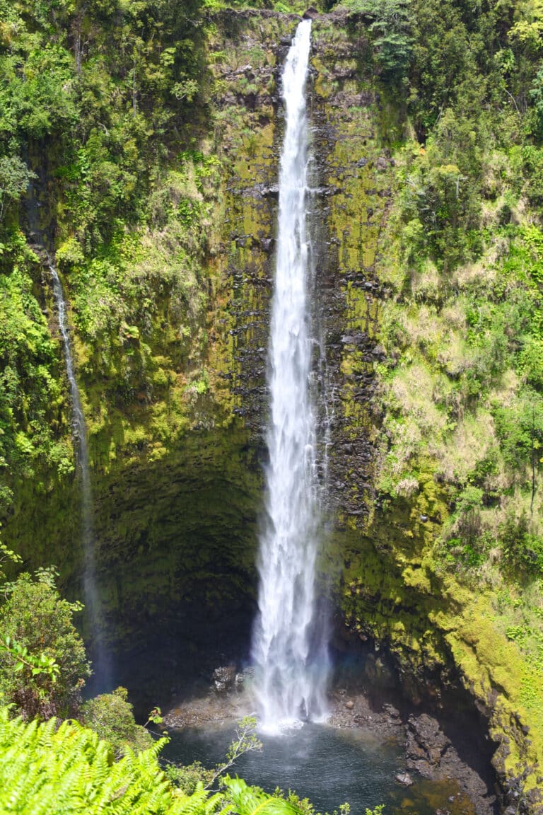 Akaka Falls plunging 442 feet into a deep gorge, framed by dense, vibrant green rainforest.