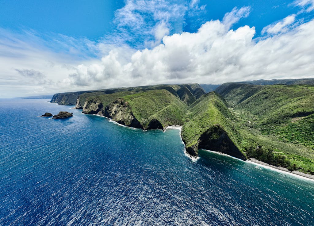 Breathtaking drone shot of Hawaii's Hamakua coast with lush green cliffs and deep blue ocean.