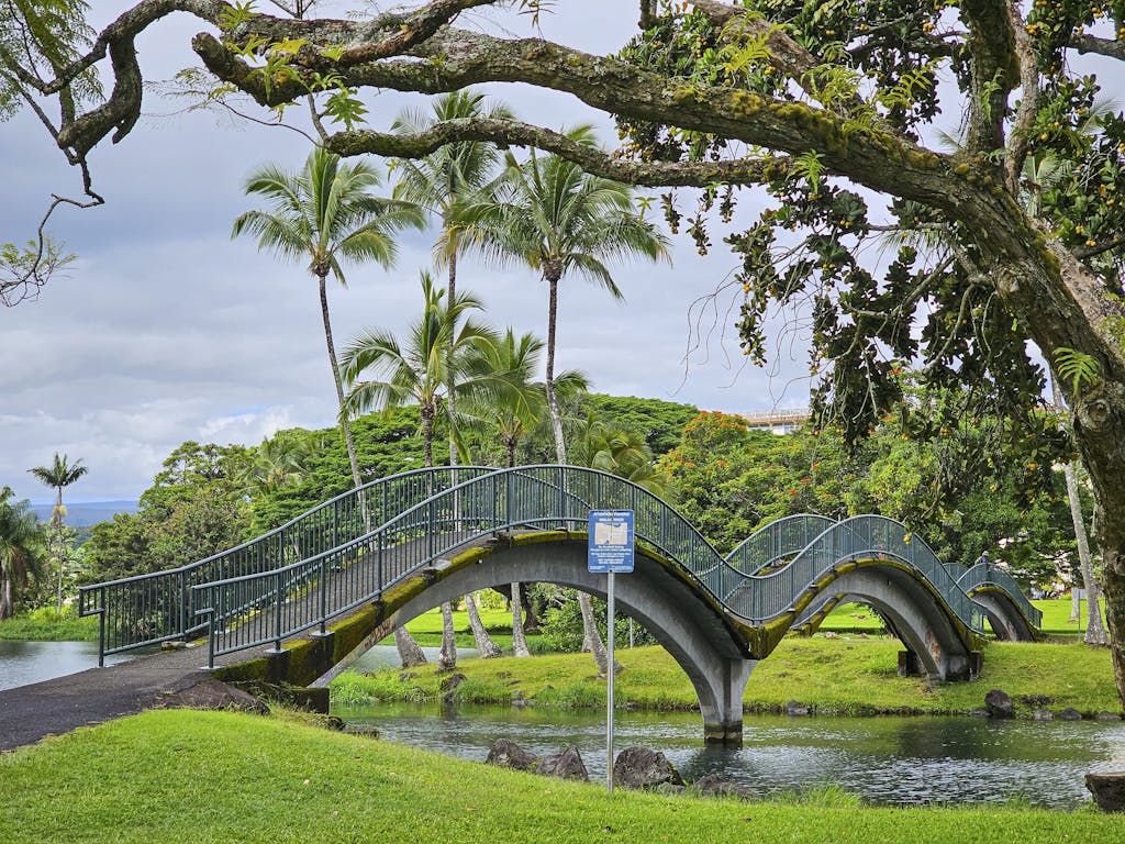 Curved footbridge surrounded by tropical greenery in a Hilo, HI park.