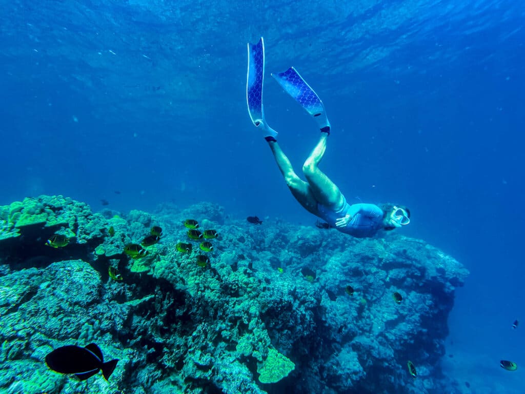 A snorkeler gliding above the reef at Kealakekua Bay, surrounded by deep blue water.