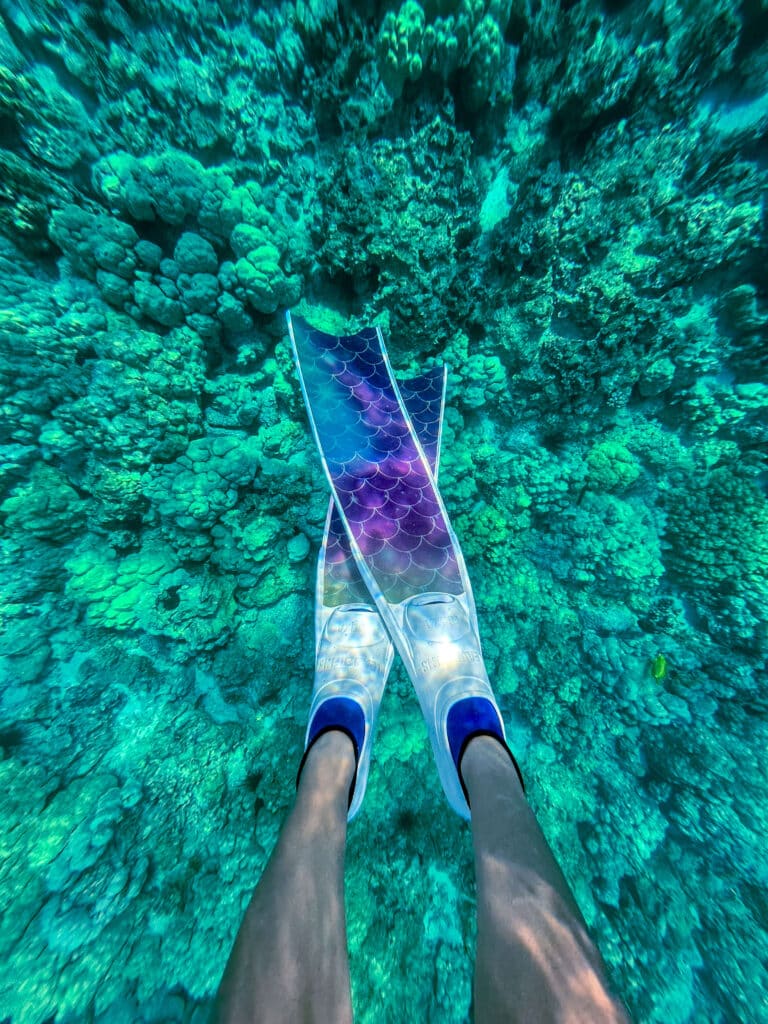 Colorful snorkel fins pointed toward the reef below in turquoise water at Kealakekua Bay.