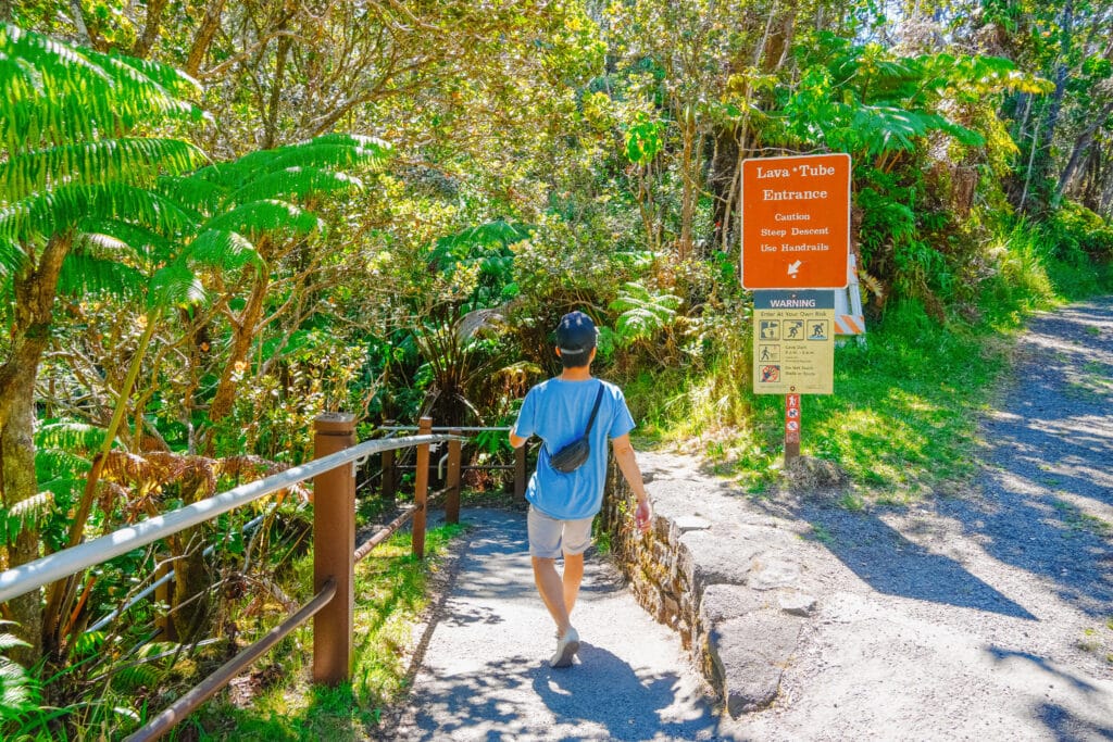 A visitor walking along the sunny, paved trail leading toward the Nāʻhuku Lava Tube through dense forest.