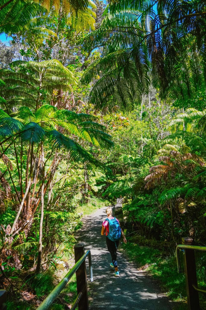 A visitor walking through tall rainforest plants along the leafy trail leading to the Nāʻhuku Lava Tube.