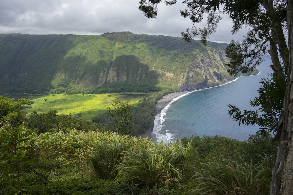 Stunning aerial view of Waipio Valley's lush green landscape meeting the Hawaiian coast under a cloudy sky.