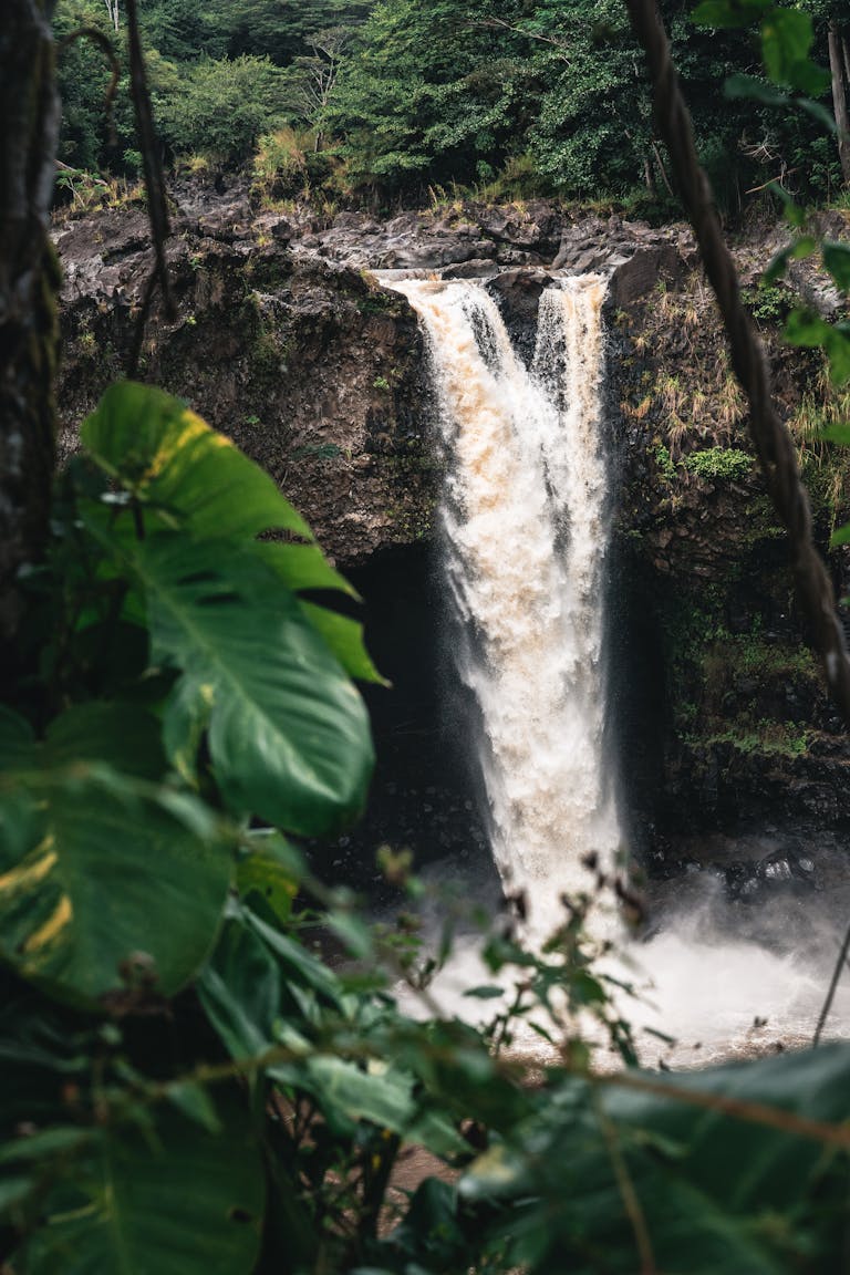 Vertical shot of Rainbow Falls waterfall surrounded by lush greenery in Hilo, Hawaii, USA.