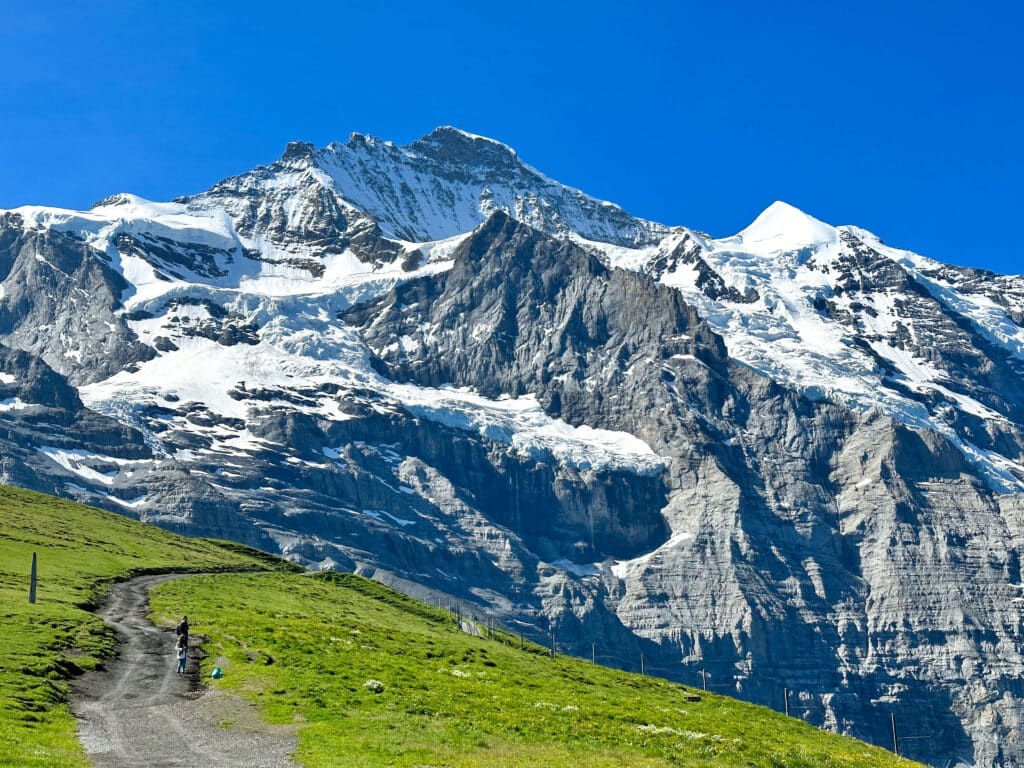 Scenic hiking trail winding through alpine meadows with views of glaciers and mountain peaks near Kleine Scheidegg