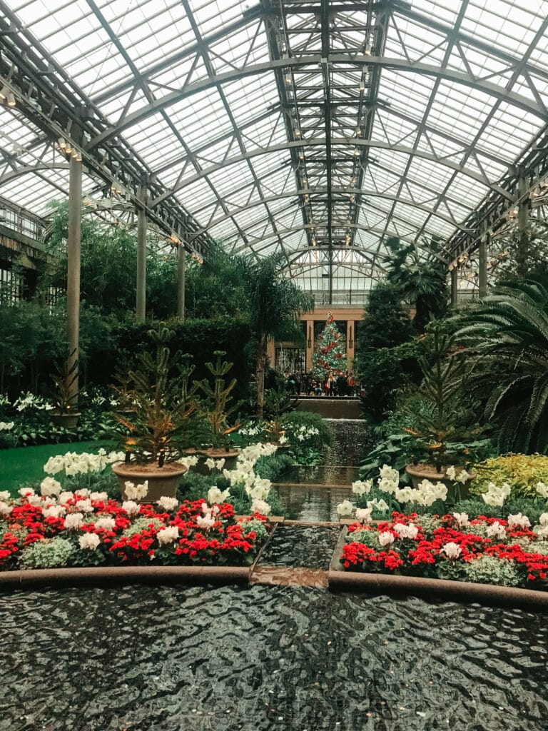 Wide view of the Longwood Gardens conservatory filled with festive red and white holiday blooms.