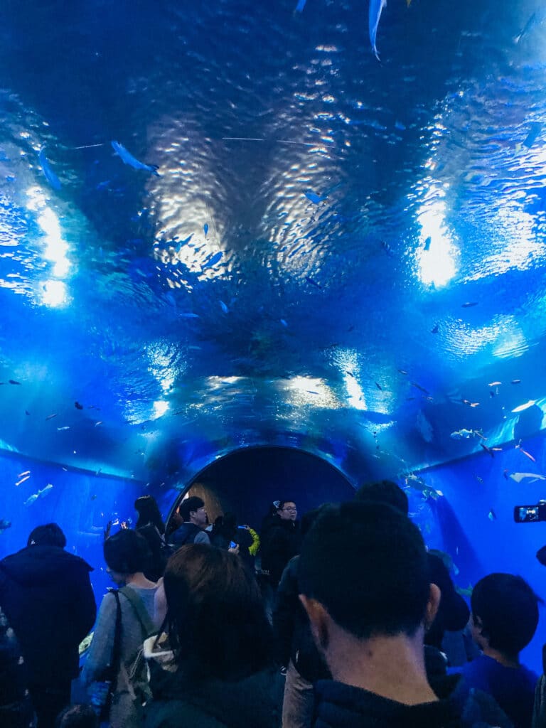 Visitors walking through a glass tunnel at the Osaka Aquarium, surrounded by fish and blue-lit water.