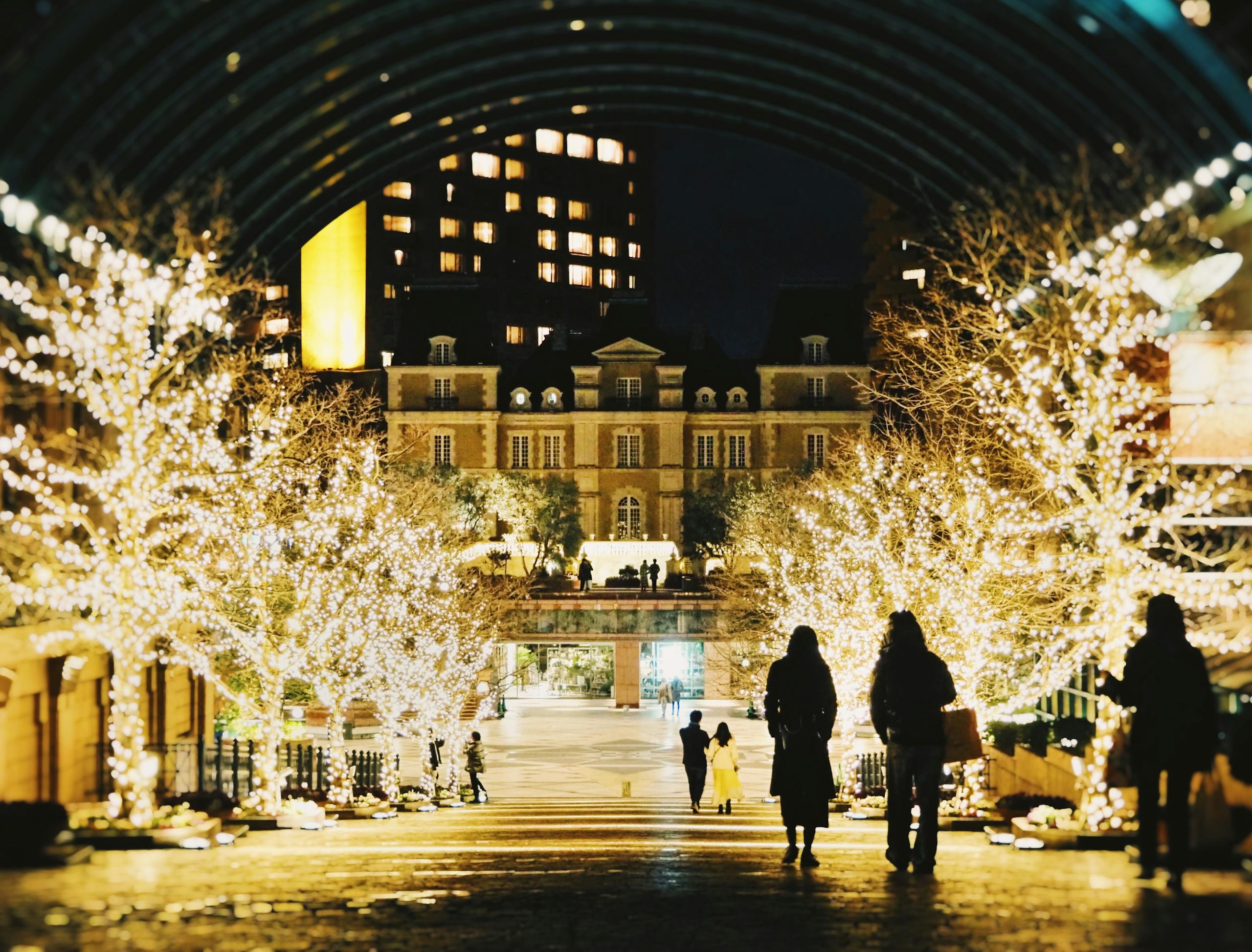 twinkling-lights-and-