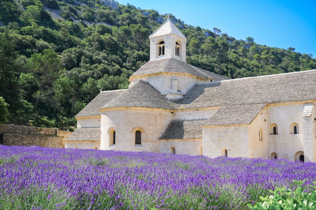 Abbaye de Sénanque framed by lavender fields under a clear blue sky.