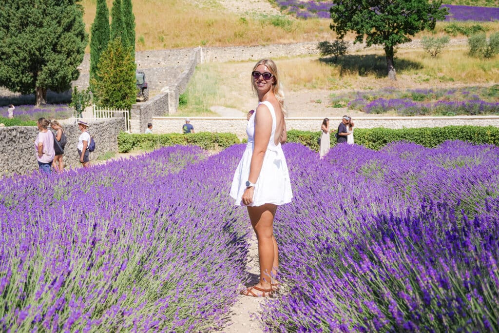 Traveler walking along a path between lavender rows near Abbaye de Sénanque.