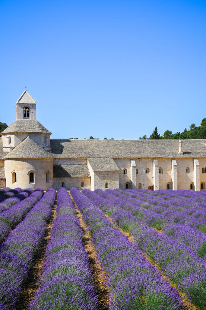 Vertical composition of lavender rows converging toward Abbaye de Sénanque under a bright sky.