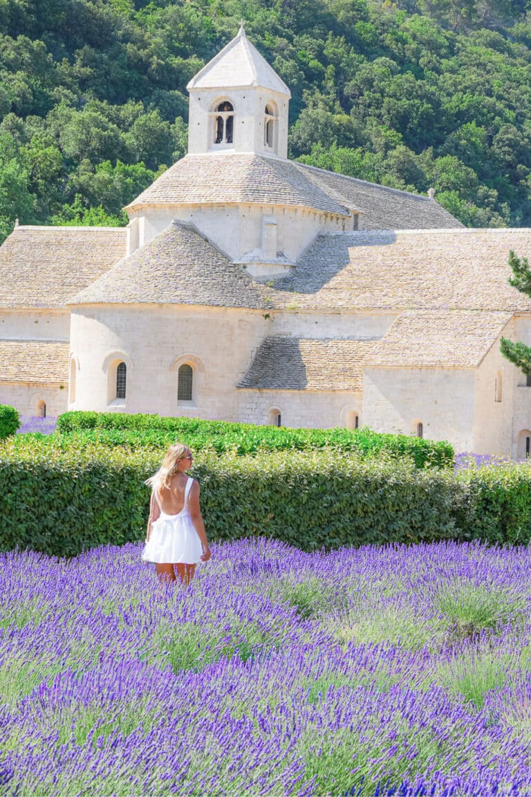 Summer lavender in full bloom at Abbaye de Senanque near Gordes, with a traveler strolling in a white dress through the Abbey grounds