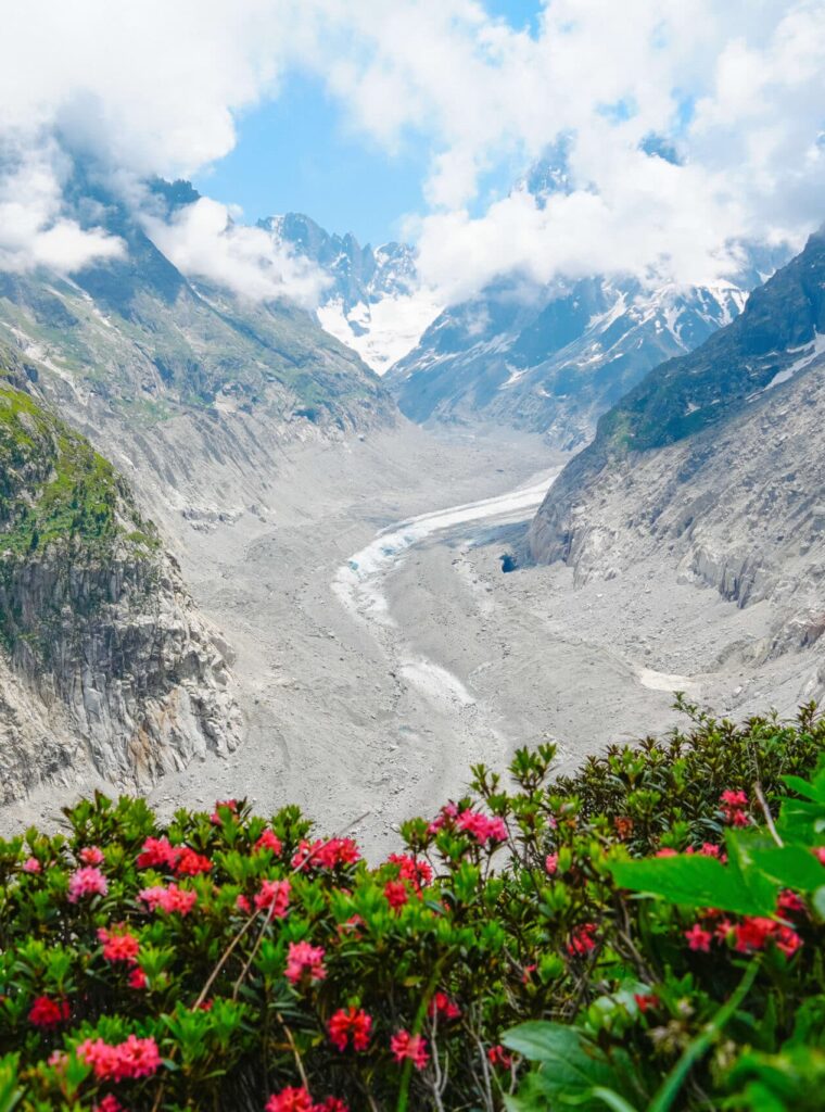 Views over the Mer de Glace galcier from the Signal Forbes trail above the Montevers Train Station on a cloudy day with pink flowers in the foreground.