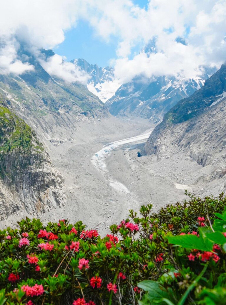 Views over the Mer de Glace galcier from the Signal Forbes trail above the Montevers Train Station on a cloudy day with pink flowers in the foreground.