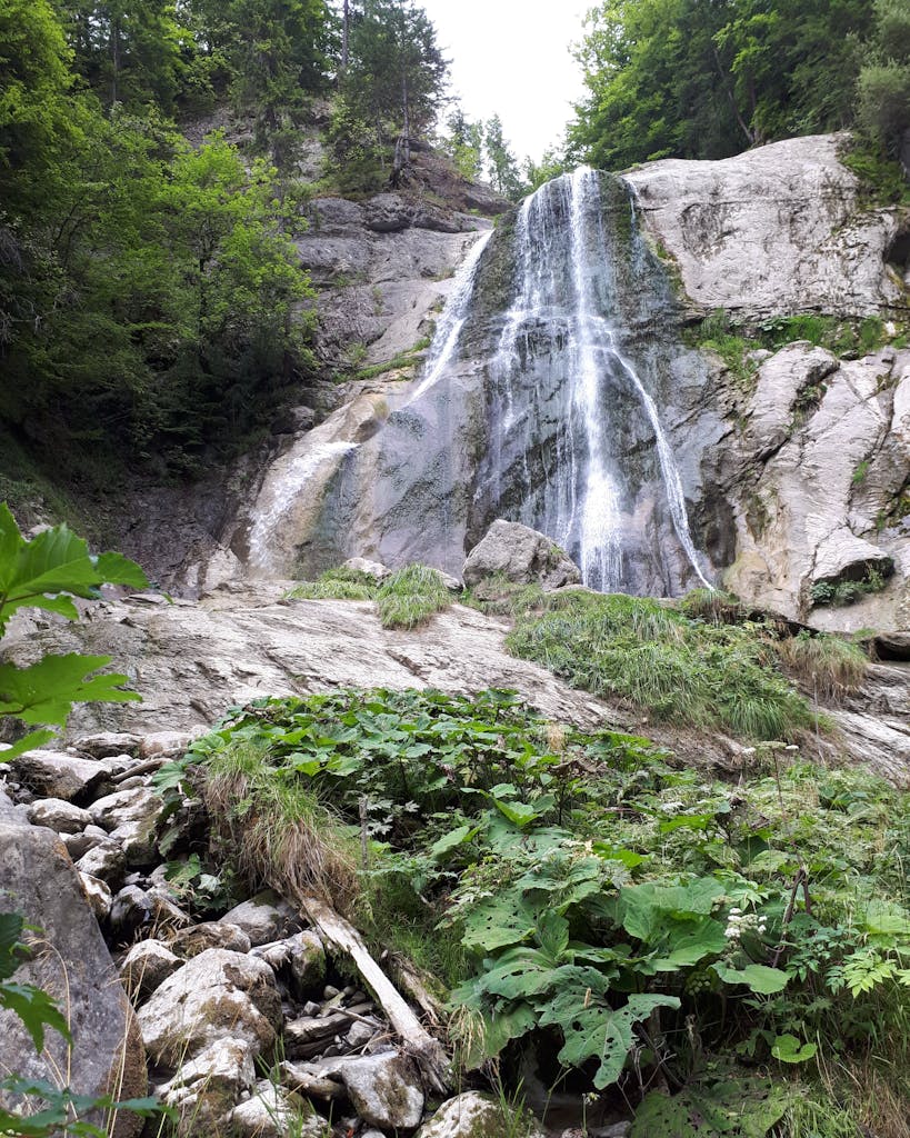 Peaceful view of Dard Waterfall surrounded by lush greenery in Chamonix.