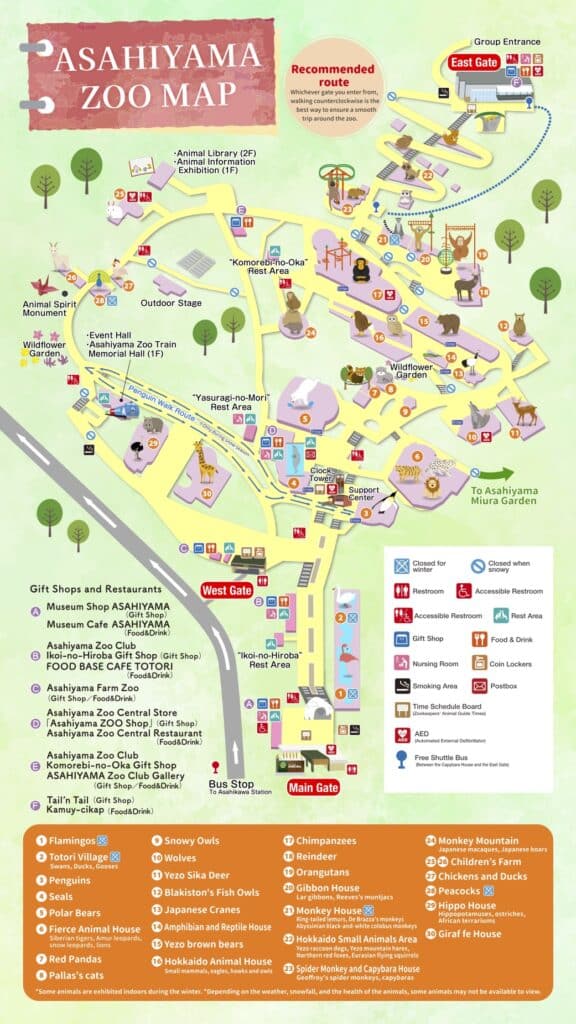 Illustrated map of Asahiyama Zoo showing the penguin walk route and key exhibits.