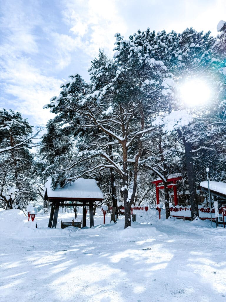 Snowy parking lot to Sapporo Fushimi Inari Shrine, with tall trees, a small wooden shelter, and red torii gates peeking through the winter landscape.