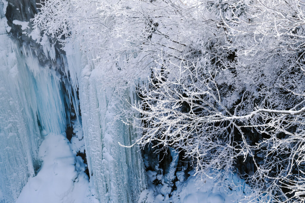 Icy waterfall wall with frozen birch branches and snow near Shirahige Waterfall, Hokkaido.