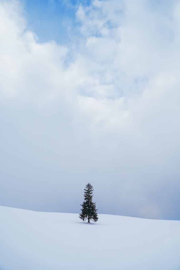 A wide, airy shot of Biei's snowy landscape showing the Christmas Tree as a tiny dark silhouette against an expansive white field and overcast sky, emphasizing its isolation.