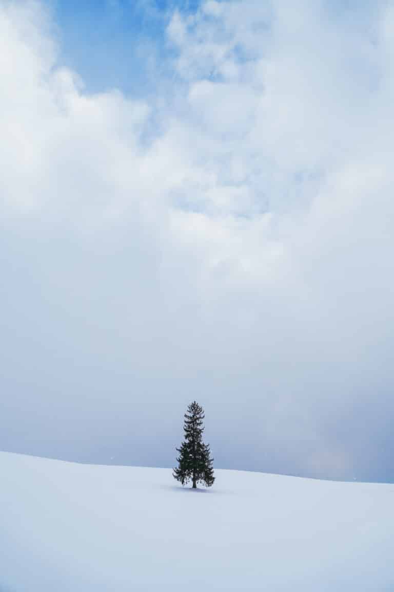 A wide, airy shot of Biei's snowy landscape showing the Christmas Tree as a tiny dark silhouette against an expansive white field and overcast sky, emphasizing its isolation.