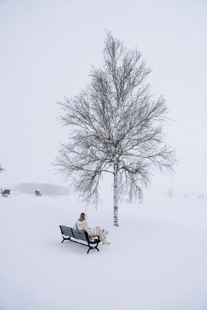 Person sitting on a bench beneath a bare birch tree at Shinei-no-Oka Observatory Park in Biei, Hokkaido