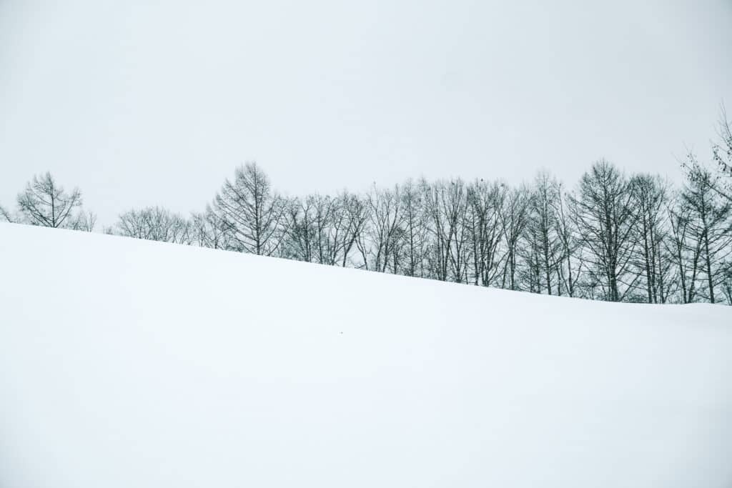Sweeping minimalist winter landscape of snow-covered fields and tree lines on the Biei Patchwork Hills road trip in Hokkaido