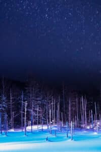 Blizzard conditions at the Biei Blue Pond winter illumination with snow falling over the glowing frozen landscape