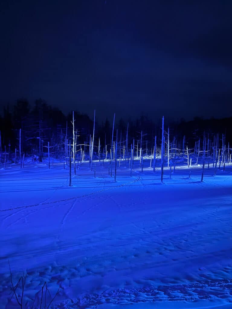 Blue and purple illumination lights glowing across the frozen Biei Blue Pond at night in Hokkaido