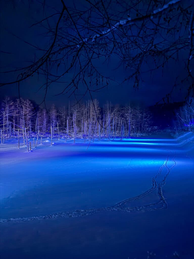 Night view of the frozen Biei Blue Pond illuminated in blue light with snow-covered forest