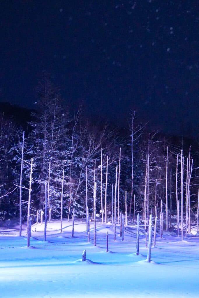 Colorful lights illuminating the frozen Biei Blue Pond and bare trees at night in winter