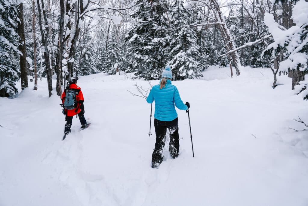 Snowshoer walking through tall winter trees in the Shirogane forest