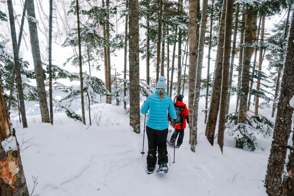 Guide leading snowshoers along a forest trail near the Shirogane Blue River