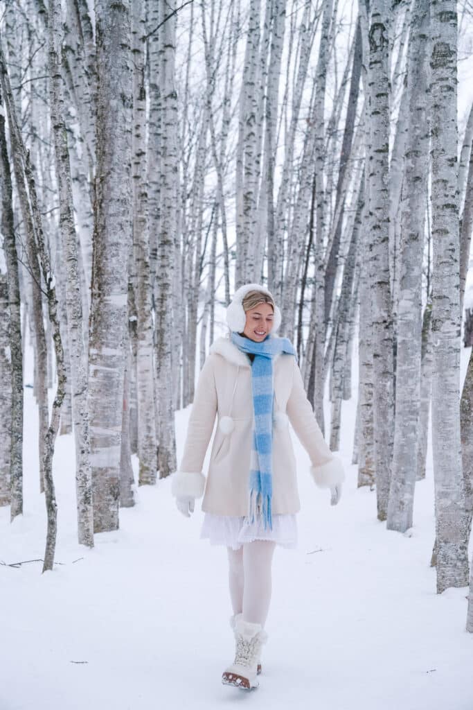 Snow-covered birch tree path at Takushinkan photography gallery in Biei, Hokkaido winter