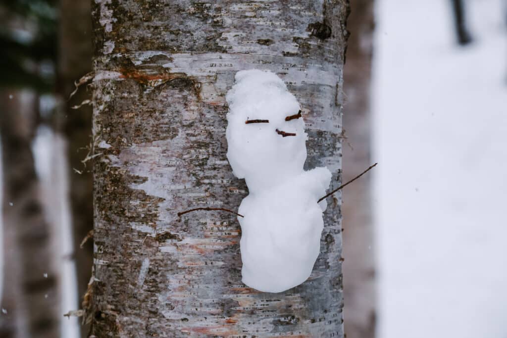 Snowman built into the trunk of a white birch tree at Takushinkan gallery in Biei, Hokkaido in winter