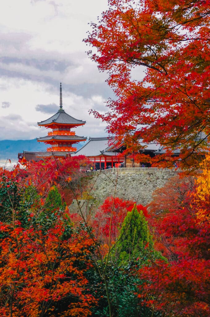 Kiyomizu-dera temple surrounded by red and orange fall foliage on a cloudy day in Kyoto