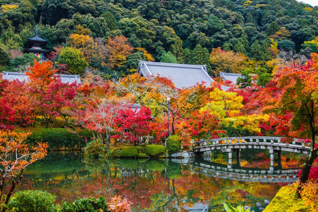 The gardens and pond at Eikan-do temple in peak autmn