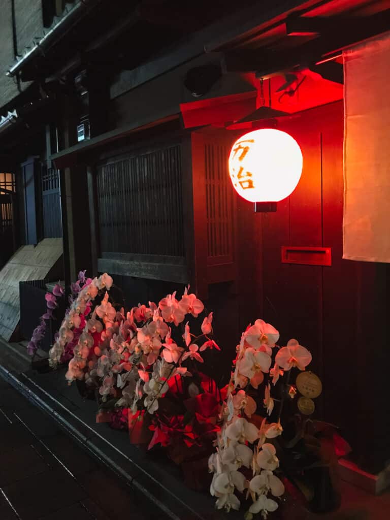 Orchids along a storefront in Gion, the Geisha district