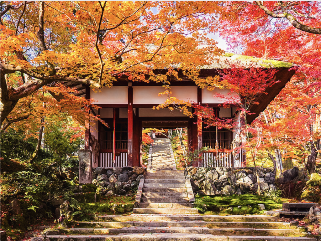 Autumn foliage at Jojako-ji temple in Kyoto