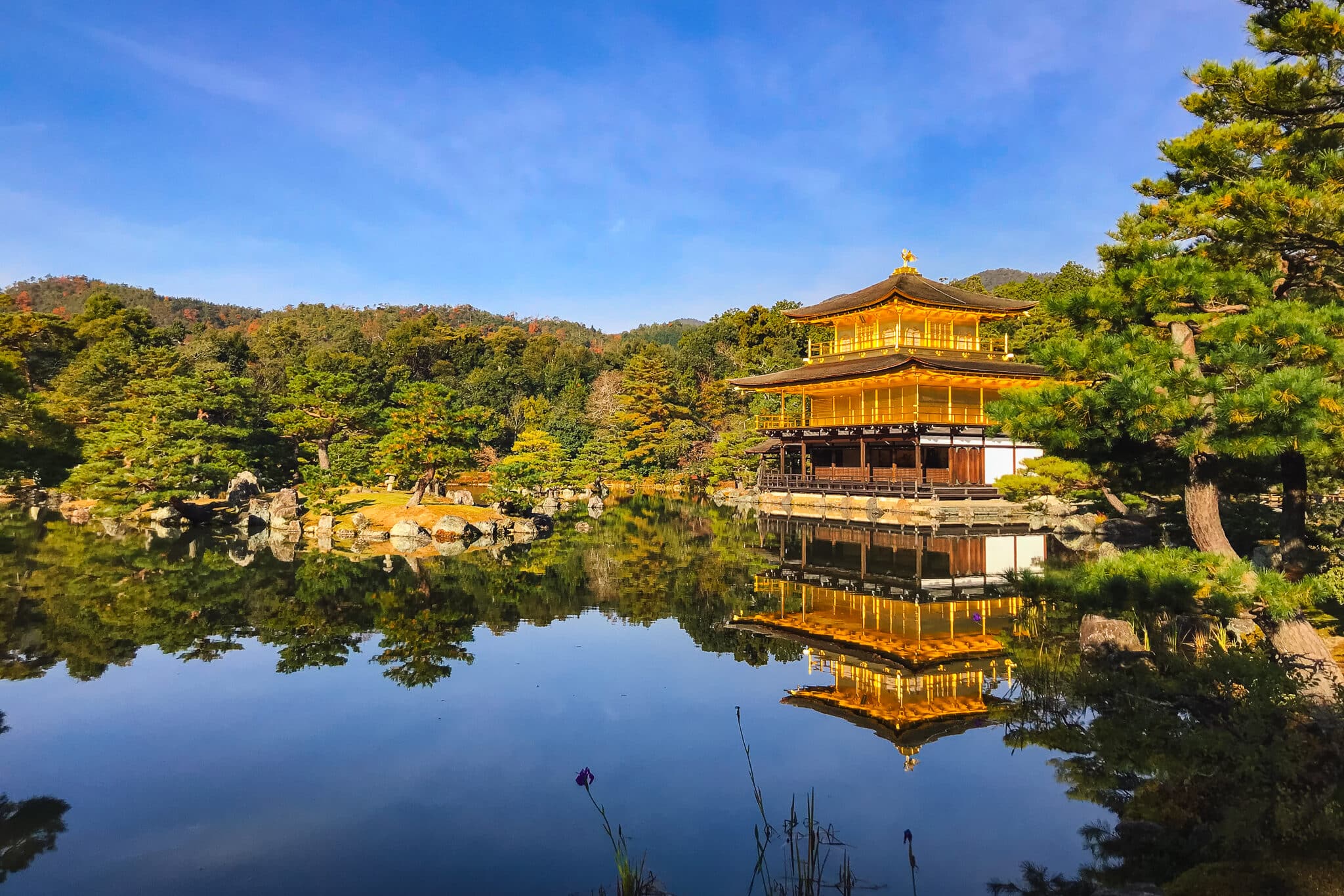Kinkaku-ji Shrine, Golden Pavilion, surrounded by autumn foliage and across a reflecting pond in Kyoto