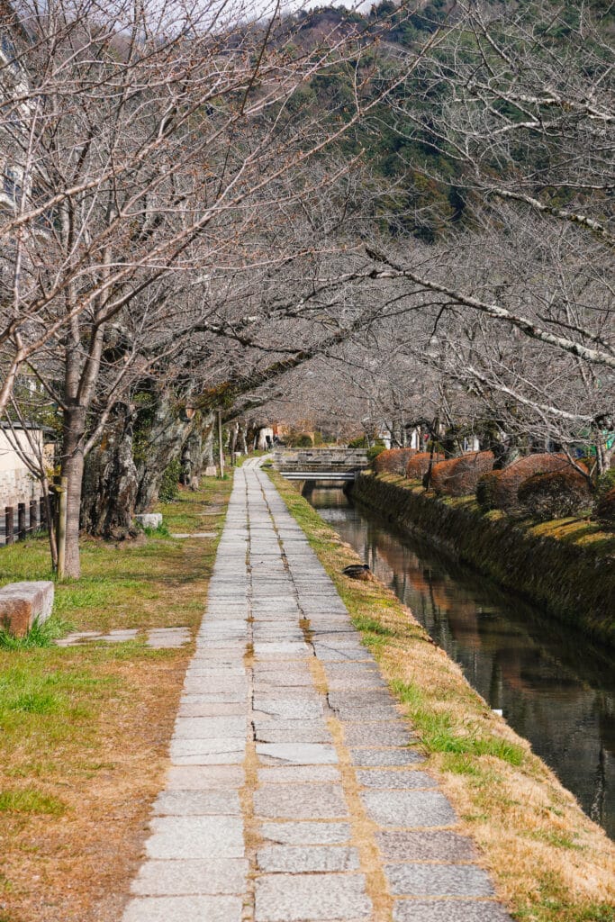 The philosopher's path in Higashiyama, Kyoto in winter with bare tree branches
