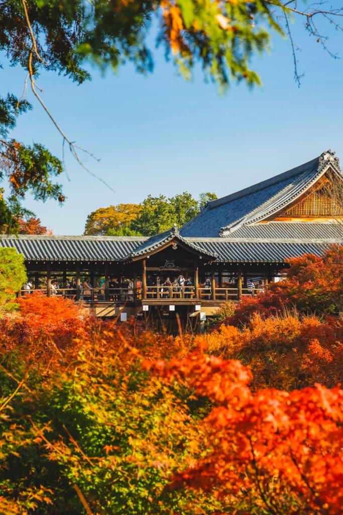 Tofukuji Temple surrounded by brilliant autumn foliage in Kyoto