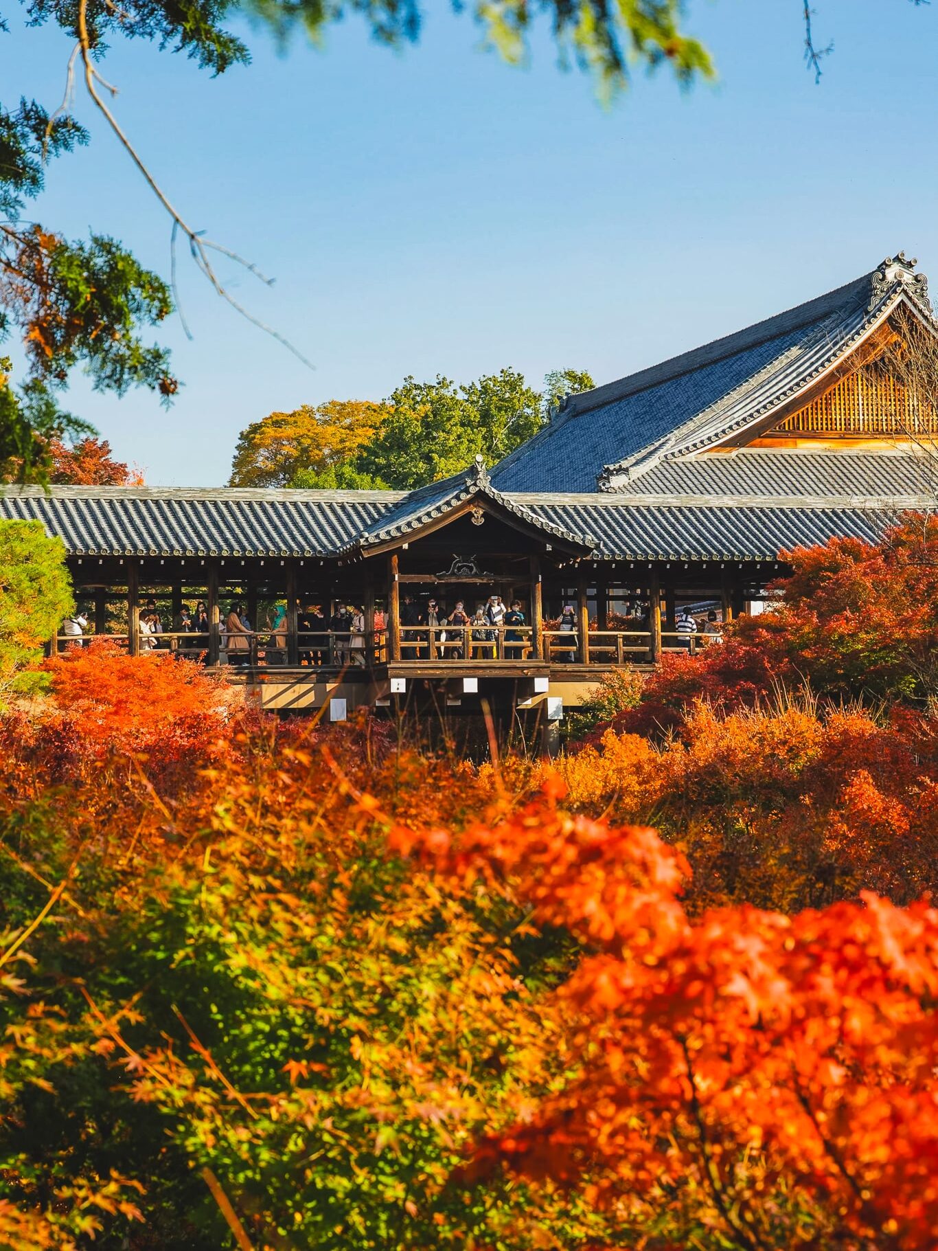 Tofukuji Temple surrounded by brilliant autumn foliage in Kyoto
