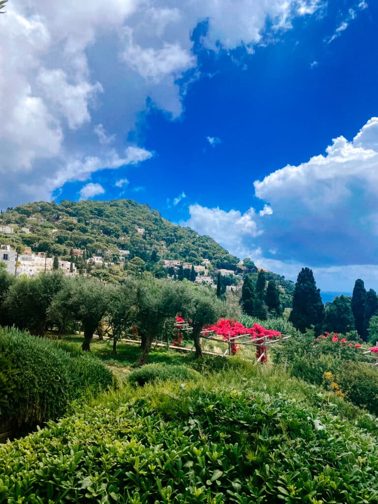 Lush gardens and pathways at the Giardini di Augusto with views over Capri’s coastline and Mediterranean Sea