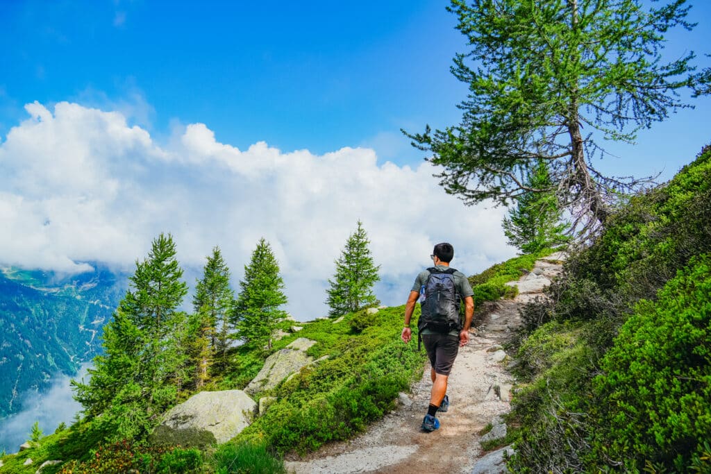 Male hiker walking a panoramic section of the Grand Balcon Nord lined with pines and overlooking the Chamonix valley